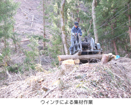 ウィンチによる集材作業