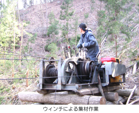 ウィンチによる集材作業