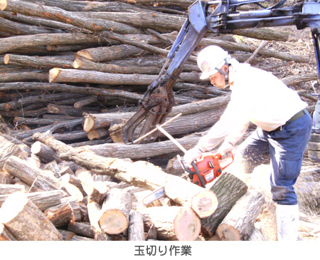 玉切り作業